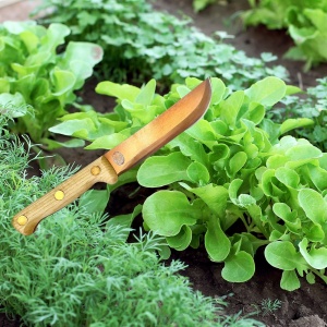 Cutit multifunctional din cupru, Pentru legume, fructe, gradinarit - Img 5