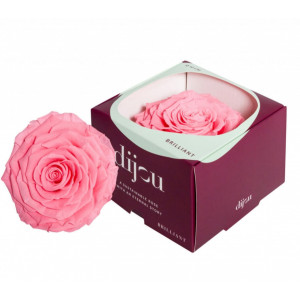 Trandafir ROZ DESCHIS Natural Criogenat Premium cu diametru 10cm + cutie cadou