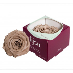 Trandafir CAFFE LATTE Natural Criogenat Premium cu diametru 10cm + cutie cadou - Img 1