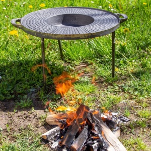 Disc fonta picnic outdoor