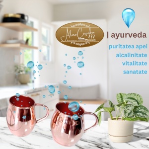 Set 2 Cani Cupru Lucios 400ml, Ayurveda, Cocktailuri, Apa, Aurora - Img 4