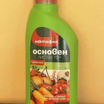 Лaĸтoфoл листен тор "Оcнoвeн"