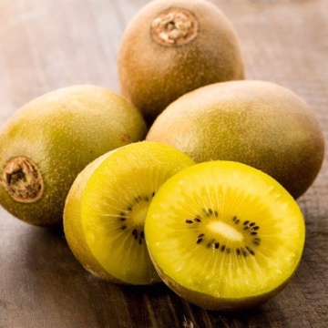 Зрели плодове на Киви deliciosa Kiwi Gold“ – детайл от реколтата