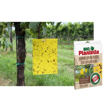 Лепящи жълти листове за защита от насекоми 10 бр. BIO PLANTELLA - Img 2