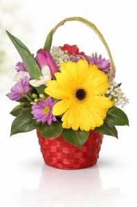 Floraria Ikebana