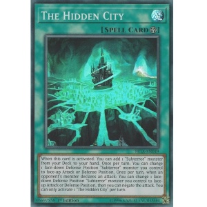 The Hidden City