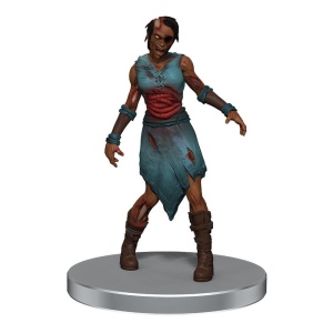 Dungeons & Dragons - Icons of the Realms: Undead Armies - Zombies - Img 7