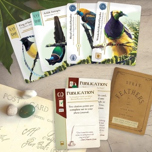Birdwatcher Deluxe (Bundle) - Img 2