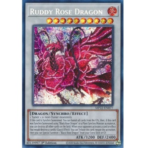 Ruddy Rose Dragon