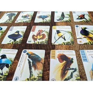 Birdwatcher Deluxe (Bundle) - Img 3