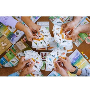 Wingspan Asia Players & Cards