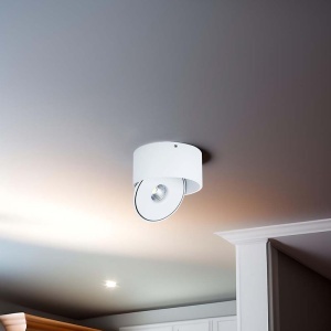 CORP LED SPOT COB 20W 3IN1 - ALB - Img 3
