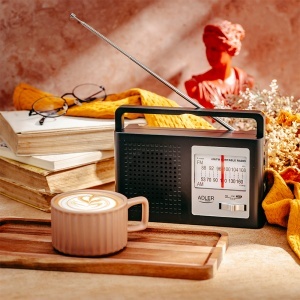 RADIO AM FM AD 1909 ADLER - Img 9