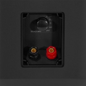 SET BOXE LINIE 100W 100V 5/10/20/30W 8OHMI IP66 - NEGRU - Img 5
