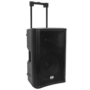 BOXA PORTABILA 12''/31CM 250W RMS TWS CU BT/USB + 2 MIC WIRELESS - Img 2