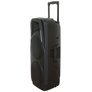 BOXA PORTABILA ACTIVA 2X10"/25CM 300W RMS USB/SD/BT/VHF