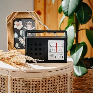 RADIO AM FM AD 1909 ADLER - Img 10