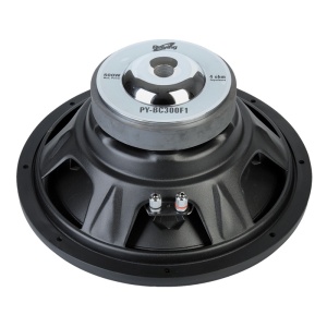 SUBWOOFER AUTO 300MM 500W - Img 3