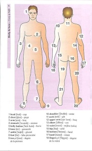 Vocabularul de baza in imagini - Limba engleza - Img 7