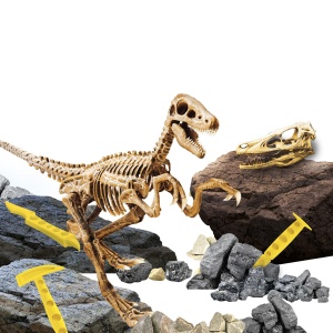 Experimentele micului geniu - Kit paleontologie Velociraptor - Img 3