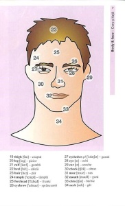 Vocabularul de baza in imagini - Limba engleza - Img 8