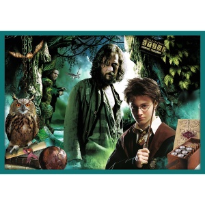 Puzzle trefl 10in1 harry potter in lumea lui harry potter - Img 7