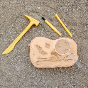 GeoSafari - Kit excavare fosile - Img 5
