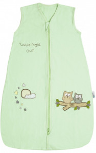 Sac de dormit Mint Owl 6-18 luni 2.5 Tog