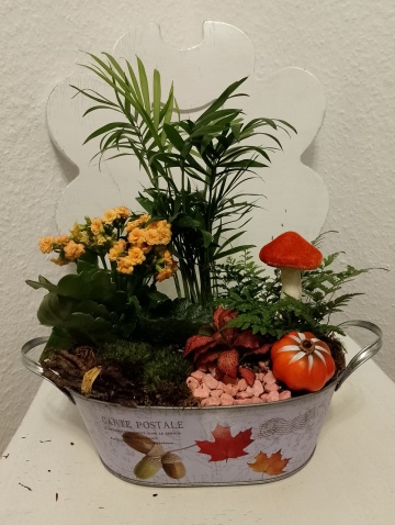 Oază de Toamnă: Aranjament Floral Natural (Terrarium Deschis) - Img 3