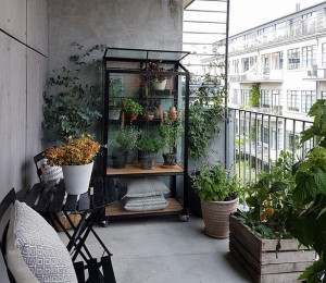 Зимна градина JULIANA CITY GREENHOUSE 0,32 m², с 4 mm закалено стъкло, цвят черен - Img 3