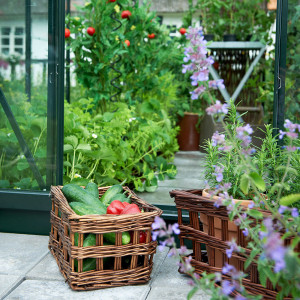 Халета POPULAR GREENHOUSE 5 кв.м, с 3 мм градинско стъкло, цвят: зелен - Img 6