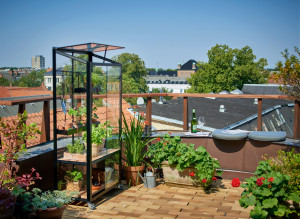 Зимна градина JULIANA CITY GREENHOUSE 0,32 m², с 4 mm закалено стъкло, цвят черен - Img 4
