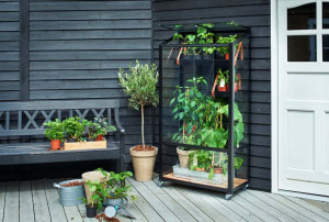 Зимна градина JULIANA CITY GREENHOUSE 0,32 m², с 4 mm закалено стъкло, цвят черен - Img 5