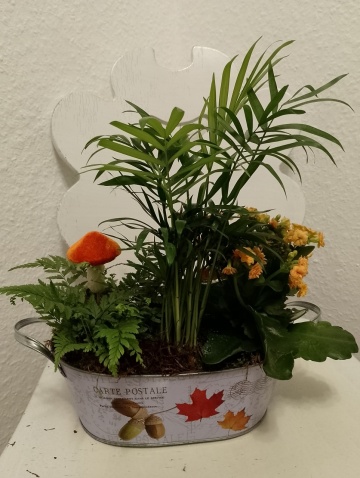 Oază de Toamnă: Aranjament Floral Natural (Terrarium Deschis) - Img 2