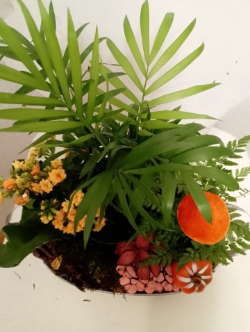 Oază de Toamnă: Aranjament Floral Natural (Terrarium Deschis) - Img 6