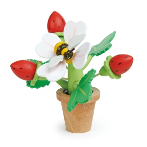 Capsuni in ghiveci - Strawberry Flower Pot - Tender Leaf - Img 1