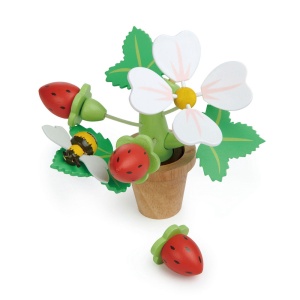 Capsuni in ghiveci - Strawberry Flower Pot - Tender Leaf - Img 3