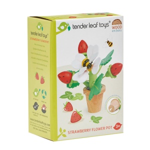 Capsuni in ghiveci - Strawberry Flower Pot - Tender Leaf - Img 4