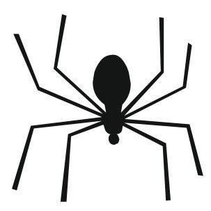 Autocolante - Aranha 7