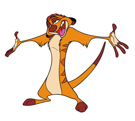 Autocolante Impresso - Timon 2