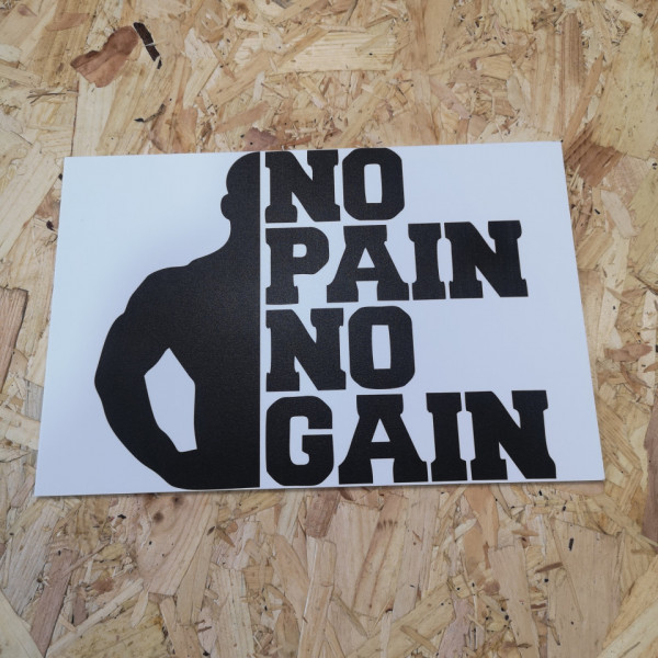 Placa Decorativa em PVC - No pain no gain