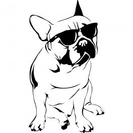 Autocolante - Cão com Estilo