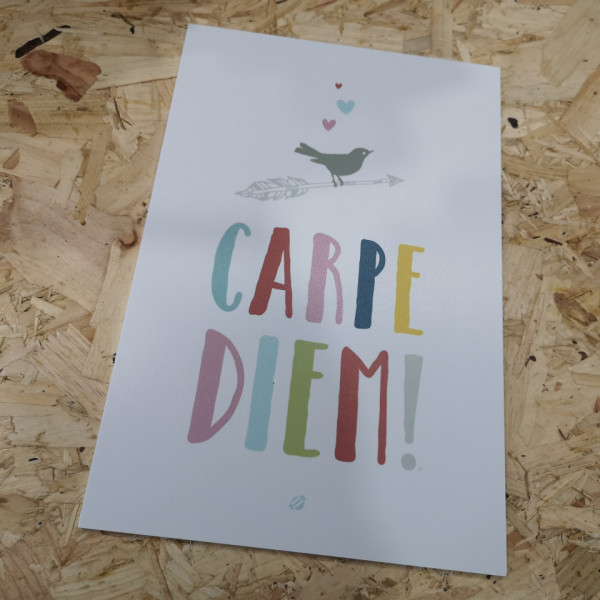 Placa Decorativa em PVC - Carpe Diem!