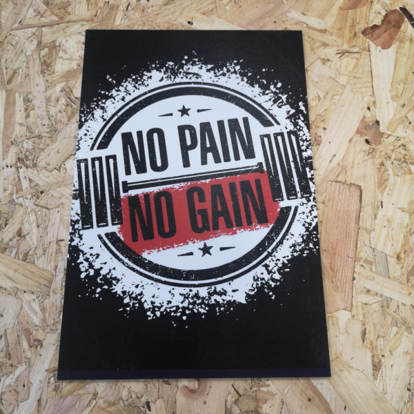 Placa Decorativa em PVC - No pain no gain