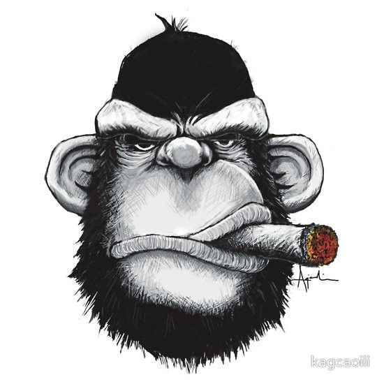 Autocolante Impresso - Macaco a fumar