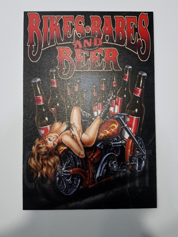 Placa Decorativa em PVC - Bike, Babes and Beer