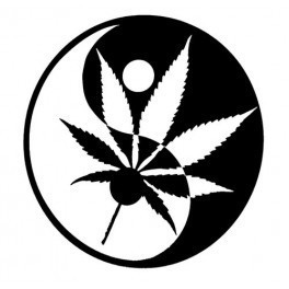Autocolante - Ying-Yang Cannabis