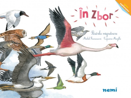 In zbor - Pasarile migratoare - Capucine Mazille, Michael Francesconi