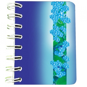 Carnet cu spira Nu-ma-uita albastru, 7 x 10 cm, 75 foi veline