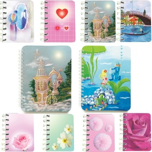 Set 10 carnete Romantic 100%: doua carnete cu spira 12 x 16 cm, 100 foi dictando si 8 carnete cu spira 7 x 10 cm, 75 foi veline